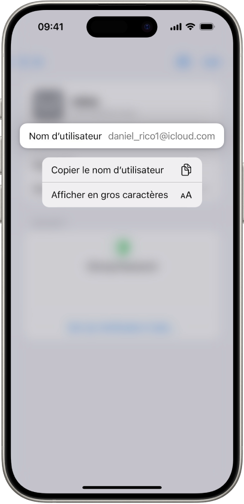 Écran de compte affichant le nom d’utilisateur en surbrillance, avec les options Copier le nom d’utilisateur et Afficher en gros caractères.