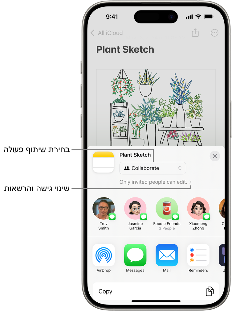 הזמנה לשיתוף פעולה בציור ב״פתקים״, שמציגה את ״שיתוף פעולה״ כאפשרות השיתוף ואת האפשרות ״רק מי שהוזמן על-ידך יכול לערוך״ כהגדרת גישה והרשאות. ארבעה נמענים אפשריים, כולל קבוצה, בשורה שמתחת. השורה התחתונה מציעה אופנים שונים לשיתוף הפתק: AirDrop, ״הודעות״, ״דואר״, ו‑Freeform.