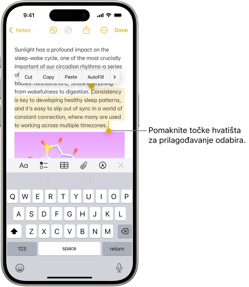 Tekst je odabran u bilješci u aplikaciji Bilješke. Iznad odabranog teksta nalaze se tipke Izreži, Kopiraj, Zalijepi i Auto ispuna. Odabrani tekst je istaknut, s točkama za podešavanje odabira na oba kraja.