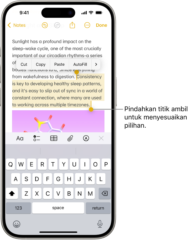 Teks dipilih dalam catatan di app Catatan. Di atas teks yang dipilih terdapat tombol Potong, Salin, Tempel, dan Isi-Auto. Teks yang dipilih disorot, dengan titik pengambilan untuk menyesuaikan pilihan di kedua ujungnya.