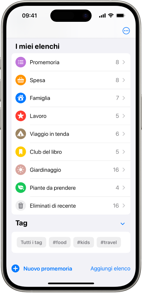 Una schermata di Promemoria che mostra più elenchi con il browser dei tag in basso.