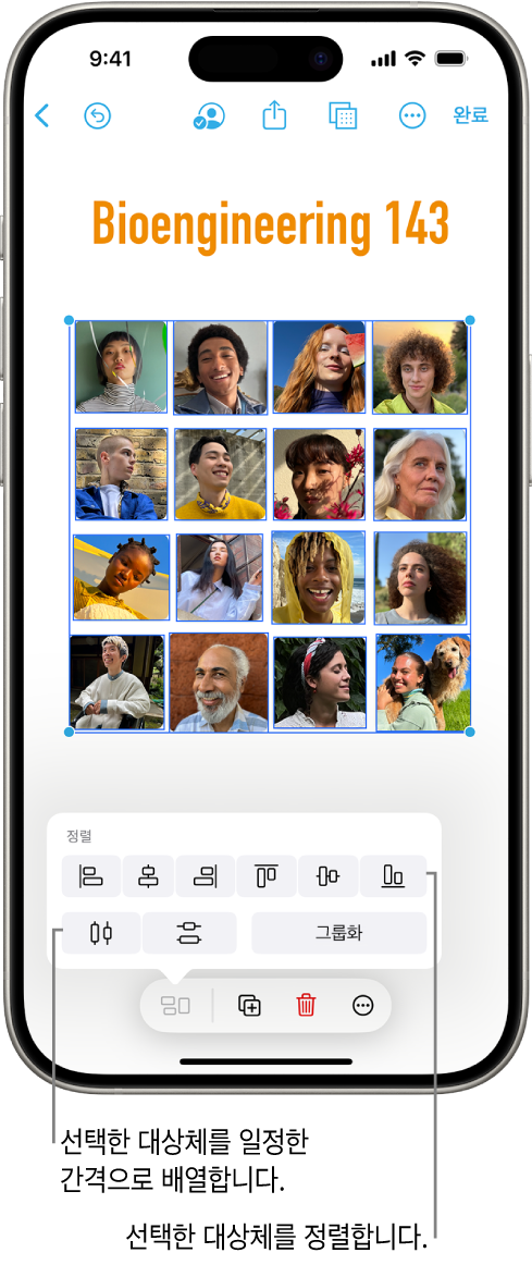 격자 형태로 사진이 채워져 있는 Freeform 보드. 여러 사진이 선택되어 있고, 그 위에 정렬 및 그룹 도구가 나타나 있음.