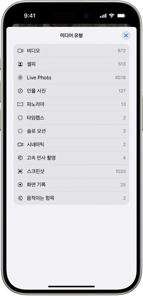 사진 앱에서 사진의 모음을 나열하고 있는 미디어 유형 모음이 열려 있음.