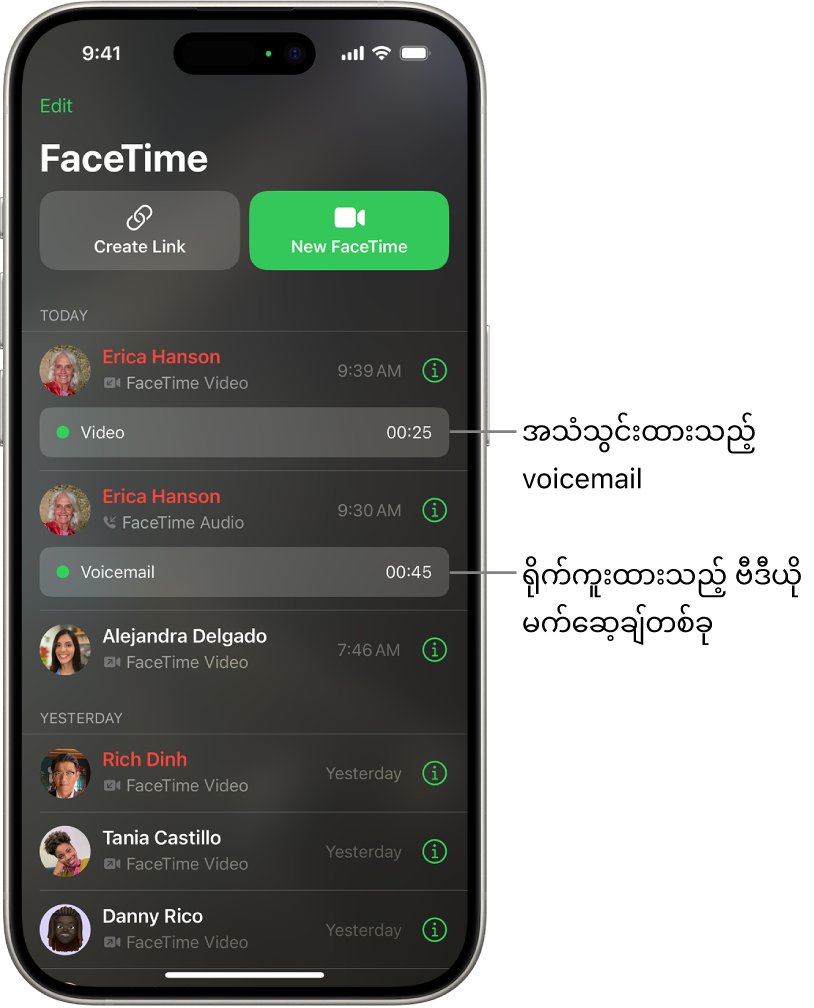 မှတ်တမ်းတင်ထားသော ဗီဒီယိုမက်ဆေ့နှင့် voicemail သို့ လင့်များပါရှိသည့် FaceTime ခေါ်ဆိုမှုမှတ်တမ်း။