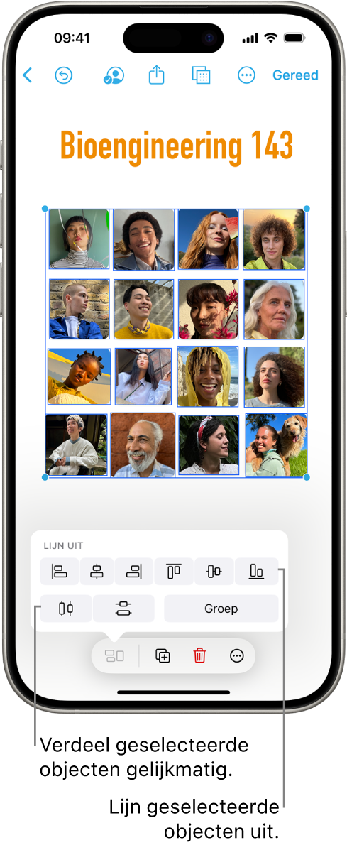 Een Freeform-bord met foto's in een raster. Er zijn meerdere foto's geselecteerd, met daarboven de opties voor uitlijnen en groeperen.