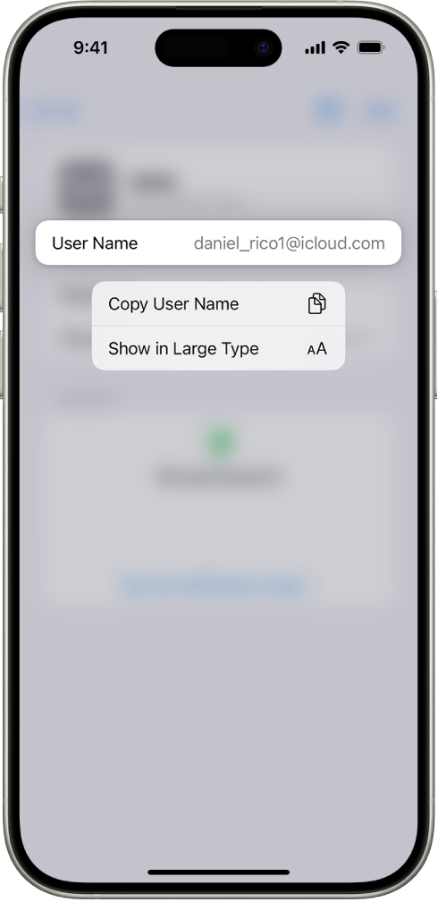 Tela de uma conta mostrando o nome de usuário destacado, com as opções Copiar Nome de Usuário e Mostrar em Letras Grandes.