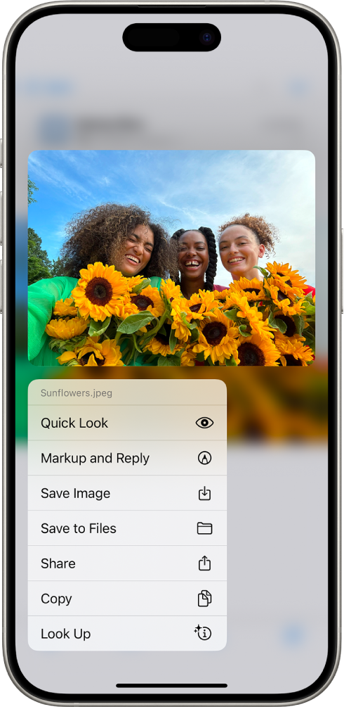телефон в писе Загрузка вложений из электронных писем в приложении «Почта» на iPhone -  Служба поддержки Apple (RU)
