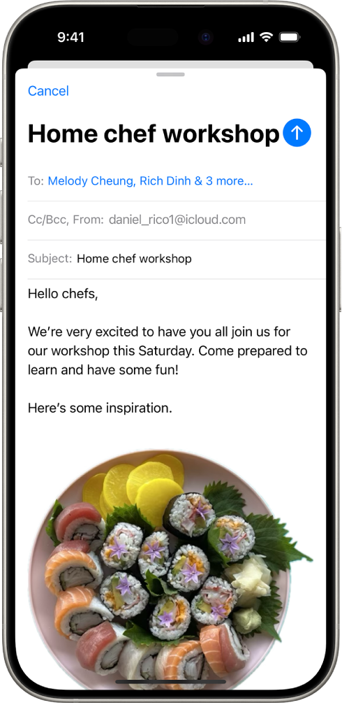 телефон в писе Отправка электронного письма в приложении «Почта» на iPhone - Служба поддержки Apple (RU)