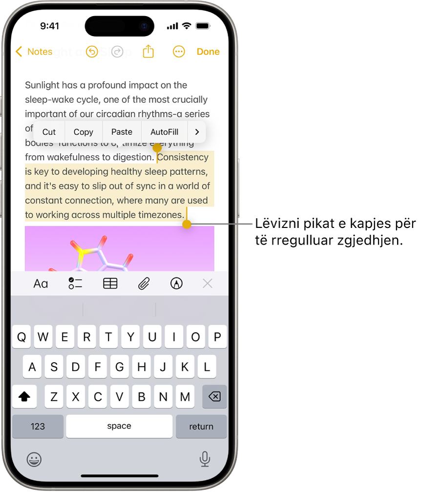 Teksti zgjidhet në një shënim në aplikacionin Notes. Mbi tekstin e zgjedhur janë butonat Cut, Copy, Paste dhe AutoFill. Teksti i zgjedhur theksohet, me pikat e kapjes për të rregulluar zgjedhjen në të dyja skajet.