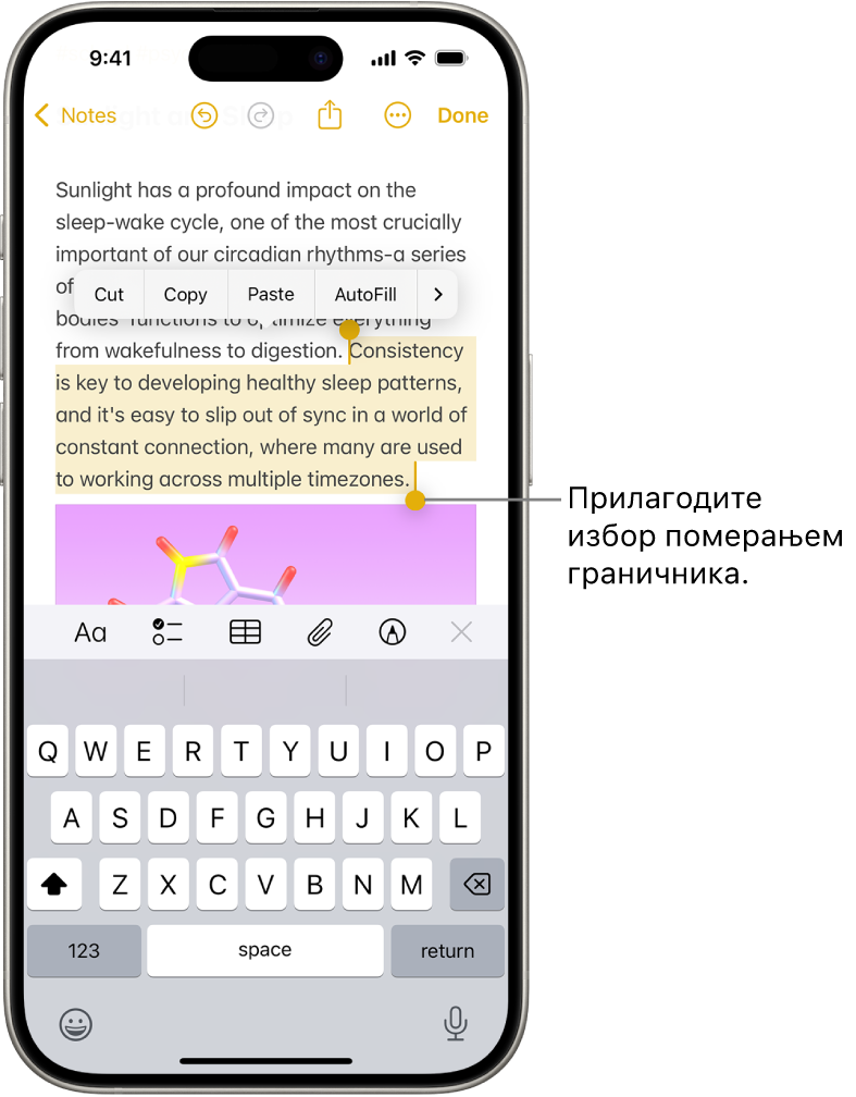 Изабран је текст у белешци у апликацији Notes. Изнад изабраног текста су дугмад Cut, Copy, Paste и AutoFill. Изабрани текст је истакнут и на сваком крају ове селекције су граничници за њено прилагођавање.