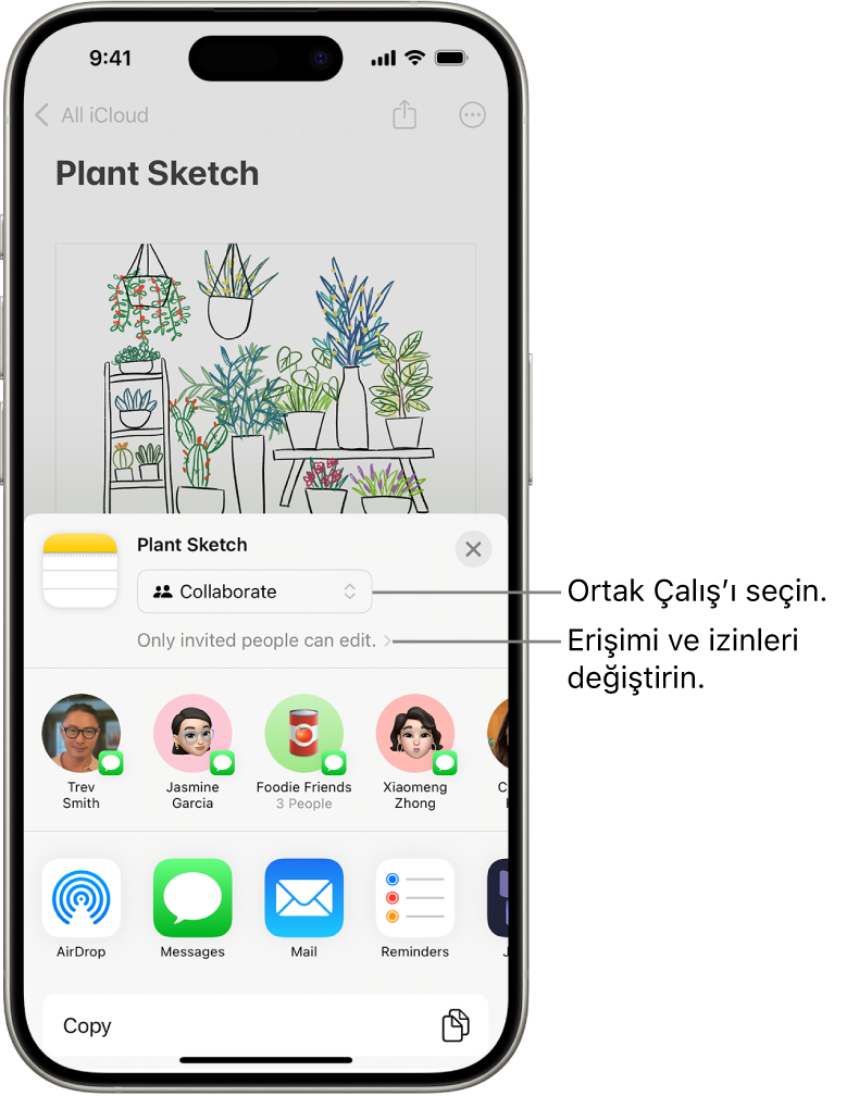 Notlar’daki bir çizime ortak çalışma daveti; paylaşma seçeneği olarak Ortak Çalış, erişim ve izin ayarı olarak “Yalnızca davet ettiğiniz kişiler düzenleyebilir” gösteriliyor. Bir grup da dahil olmak üzere dört olası alıcı, bunun altında bir satır oluşturuyor. Alttaki satır, notu paylaşmanın farklı yollarını sunuyor: AirDrop, Mesajlar, Mail ve Freeform.