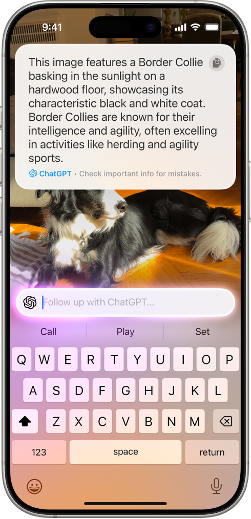 ChatGPT sonuçlarını gösteren görsel zekâ ekranı. Ekranın en üstünde, iPhone kamerasıyla çekilmiş bir köpeğin ChatGPT betimlemesi var. Ekranın ortasında, ChatGPT’ye gönderilecek takip metinlerini girmek için bir metin alanı var.