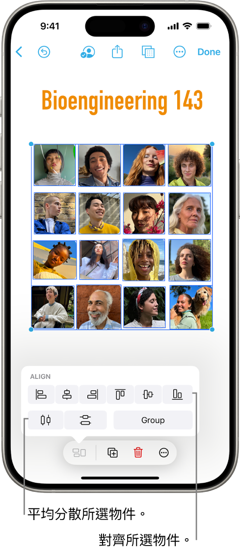 相片網格填滿 Freeform 記事板。已選取幾張相片，其上方顯示對齊和組合工具。