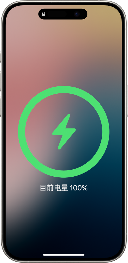 iPhone 屏幕显示电池已充电至 100%。