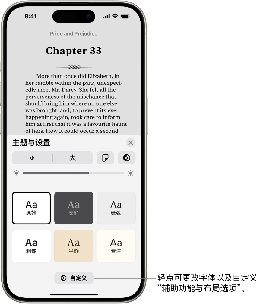 “图书” App 中的图书页面。“主题与设置”选项显示字体大小、滚动视图、翻页样式、亮度和字体样式的控制。