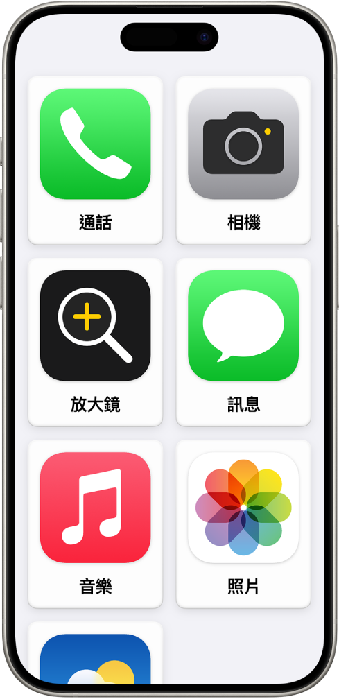 iPhone 顯示「自訂輔助取用」主畫面的 App 放大版格狀項目顯示。