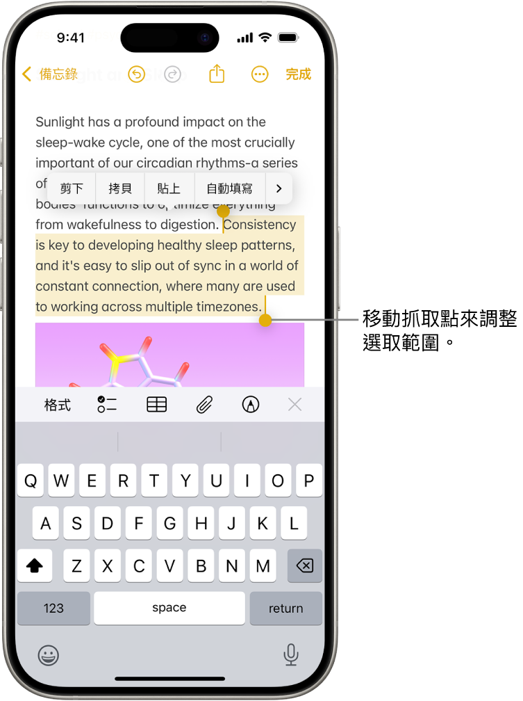 在「備忘錄」App 的備忘錄中選取的文字。所選文字上方為「剪下」、「拷貝」、「貼上」以及「自動填寫」按鈕。會反白顯示所選文字，並帶有可調整兩端抓取點的選擇。
