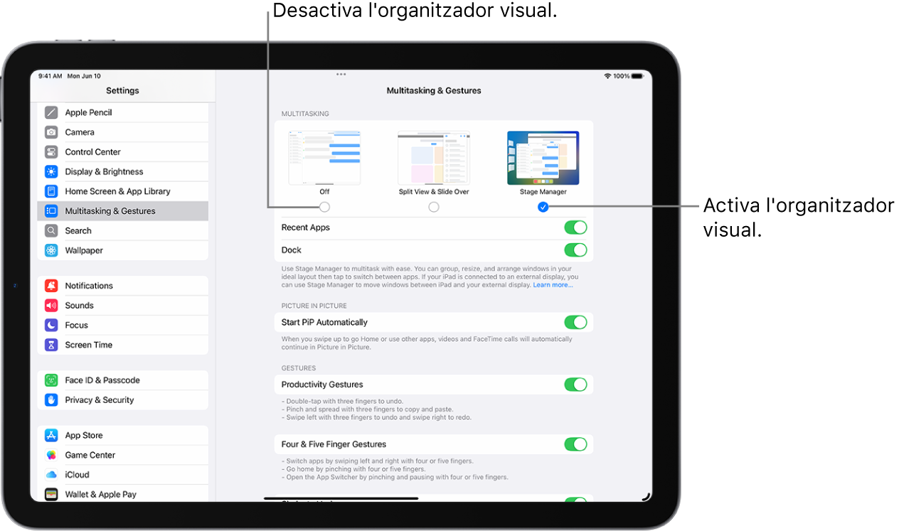 La pantalla de configuració per activar o desactivar l’organitzador visual.