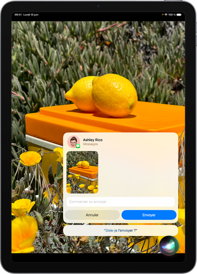 Un écran d’iPad avec l’indicateur d’écoute de Siri dans le coin inférieur gauche et, au-dessus, la réponse de Siri sous la forme d’un message texte prêt à être envoyé.