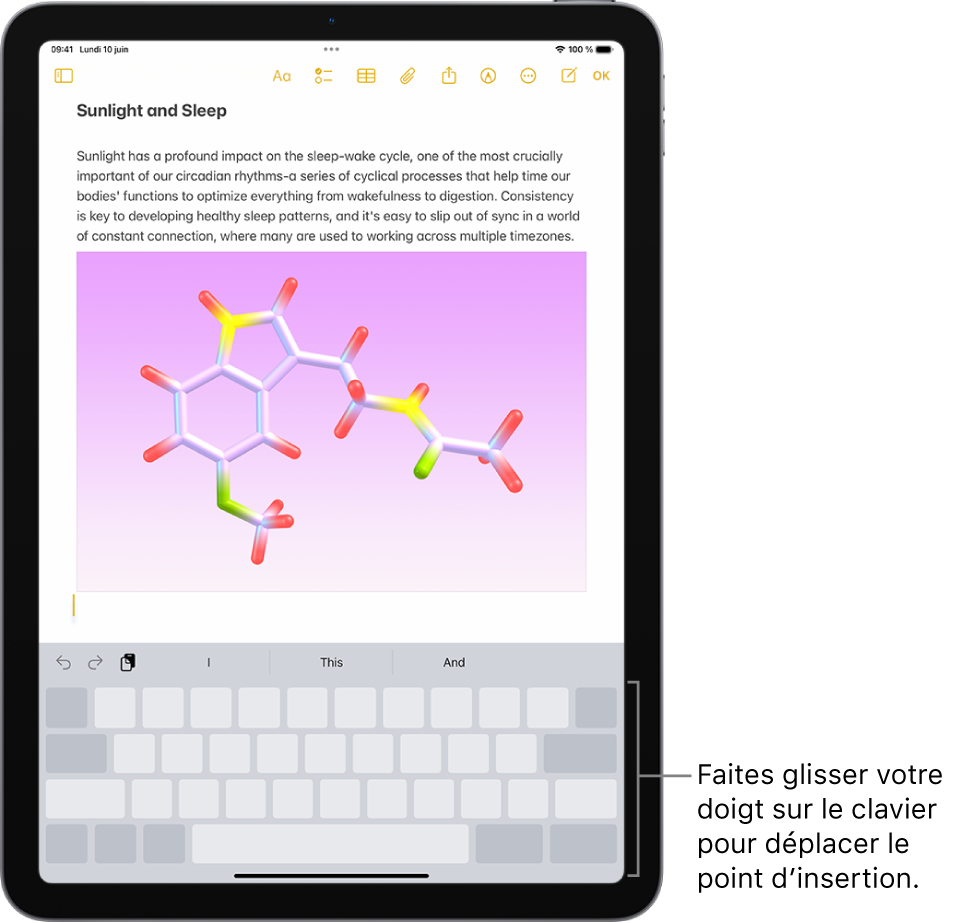 Un document est ouvert dans l’app Notes. Le clavier à l’écran dans la partie inférieure de l’écran est en mode trackpad.