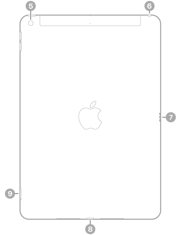 Az iPad hátulnézete, amelyen a feliratok bal felső részen lévő hátoldali kamerára, a jobb felső részen lévő fejhallgatócsatlakozóra, a jobb oldalon lévő Smart Connectorra, a készülék aljának közepén lévő Lightning-csatlakozóra, a bal alsó részen lévő SIM-tálcára (Wi-Fi + Cellular) mutatnak.