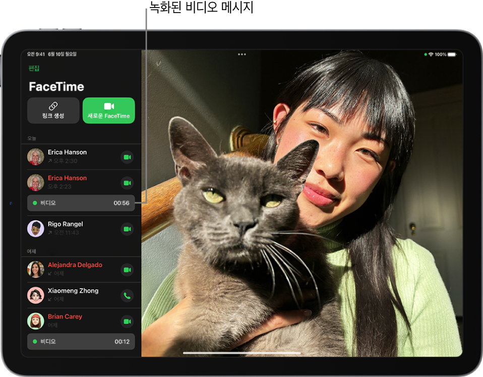 녹화된 비디오 메시지의 링크가 표시된 FaceTiem 통화 기록.