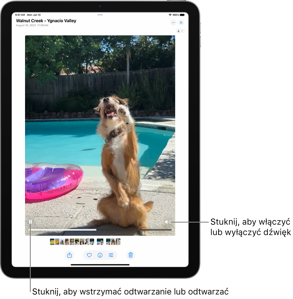 Na środku ekranu widoczny jest odtwarzacz wideo w aplikacji Zdjęcia. Trwa odtwarzanie wideo. Na dole wideo widoczne są, od lewej do prawej: przycisk Odtwórz/Wstrzymaj, pasek postępu oraz przycisk Wycisz/Głośność.