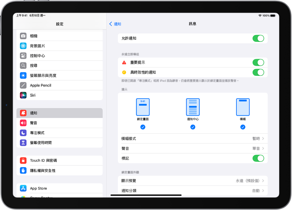 iPad 顯示「訊息」的通知和提示設定。