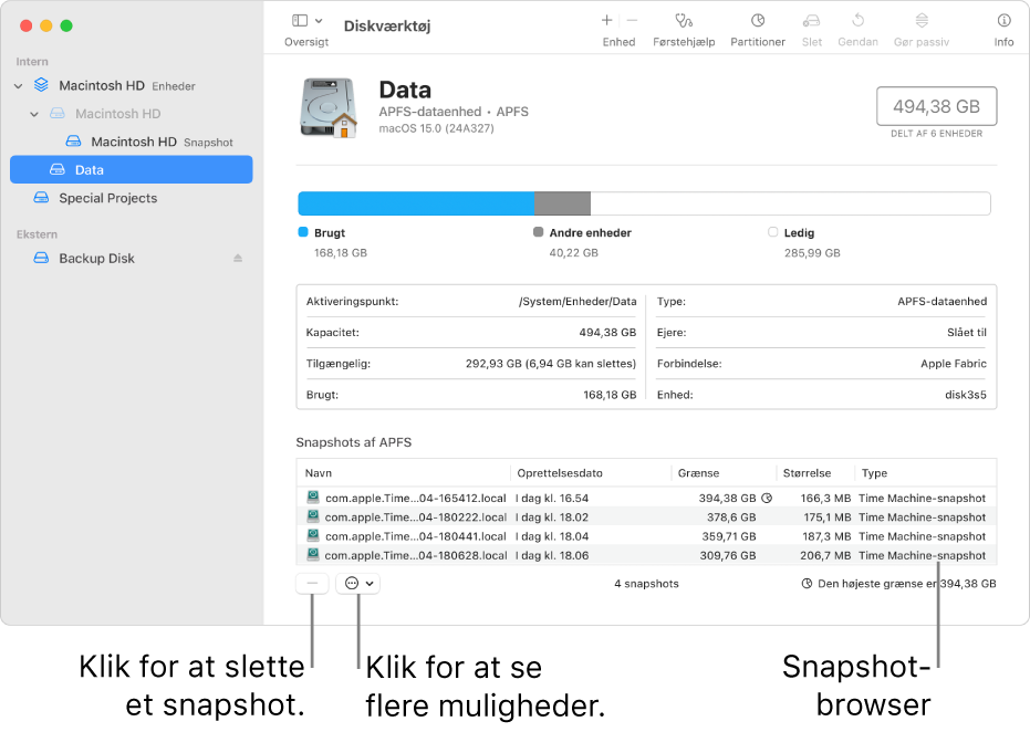 Et Diskværktøj-vindue, der viser browseren til snapshots.