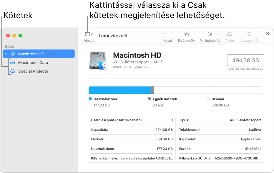 A Lemezkezelő ablakának csak a köteteket megjelenítő nézete.