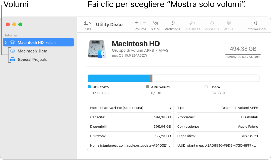 Una finestra di Utility Disco nella vista “Mostra solo volumi”.