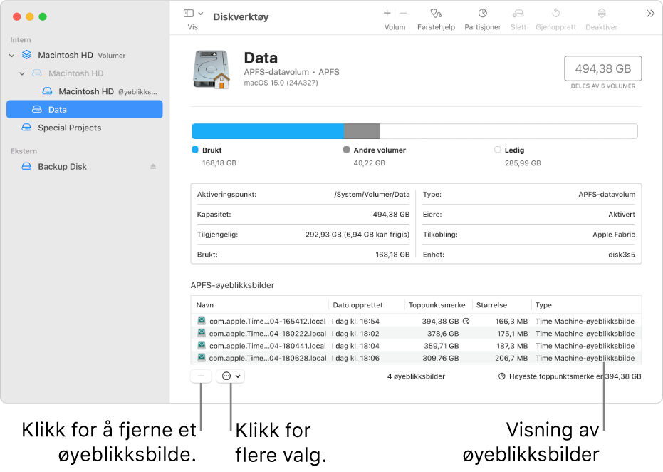 Et Diskverktøy-vindu som viser navigeringsvinduet for øyeblikksbilder.