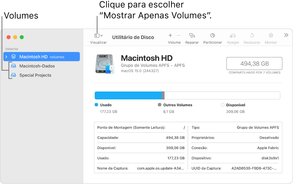 Uma janela do Utilitário de Disco na visualização Mostrar Apenas Volumes.