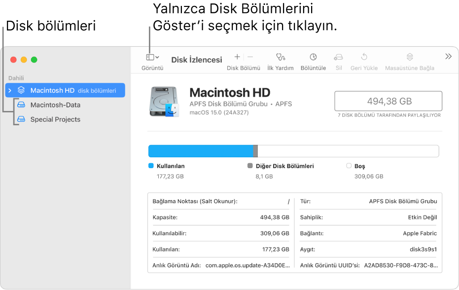 Yalnızca disk bölümlerini göster görüntüsündeki Disk İzlencesi penceresi.