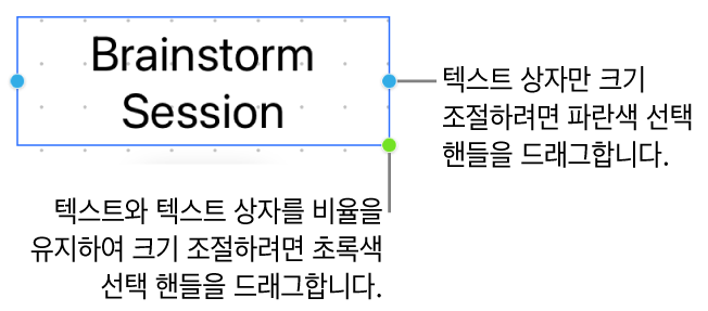 파란색 선택 핸들(텍스트 상자의 크기 조절만 허용) 및 초록색 선택 핸들(비율을 유지하여 텍스트 및 텍스트 상자의 크기 조절)을 보여주는 선택된 텍스트 상자.