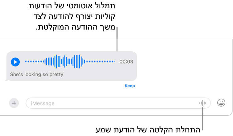 שיחה ב״הודעות״, המראה את הכפתור ״הקלט שמע״ לצד שדה ההודעה בתחתית החלון. הודעה קולית עם התמליל ועם משך ההקלטה מופיעה בשיחה.