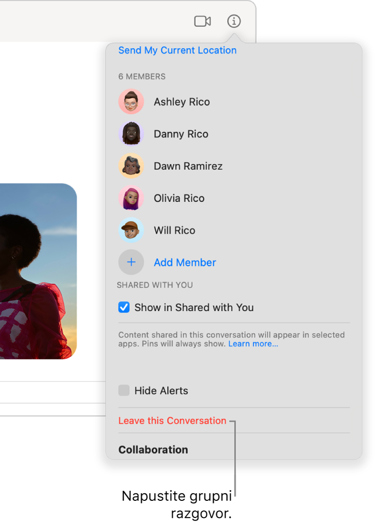 Prikaz Info, koji se pojavljuje nakon što kliknete tipku Info u razgovoru. Opcija “Napusti ovaj razgovor” nalazi se blizu dna dijaloškog prozora.