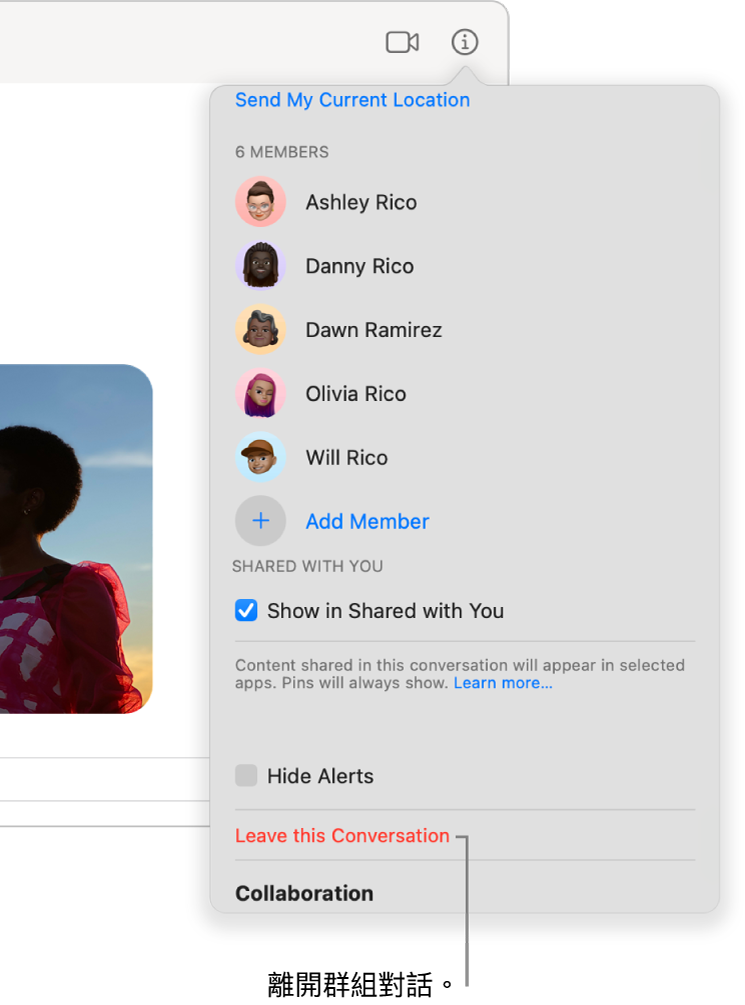 「資訊」顯示方式，在你按一下對話中的「資訊」按鈕後便會顯示。「離開此對話」位於靠近對話框底部附近。