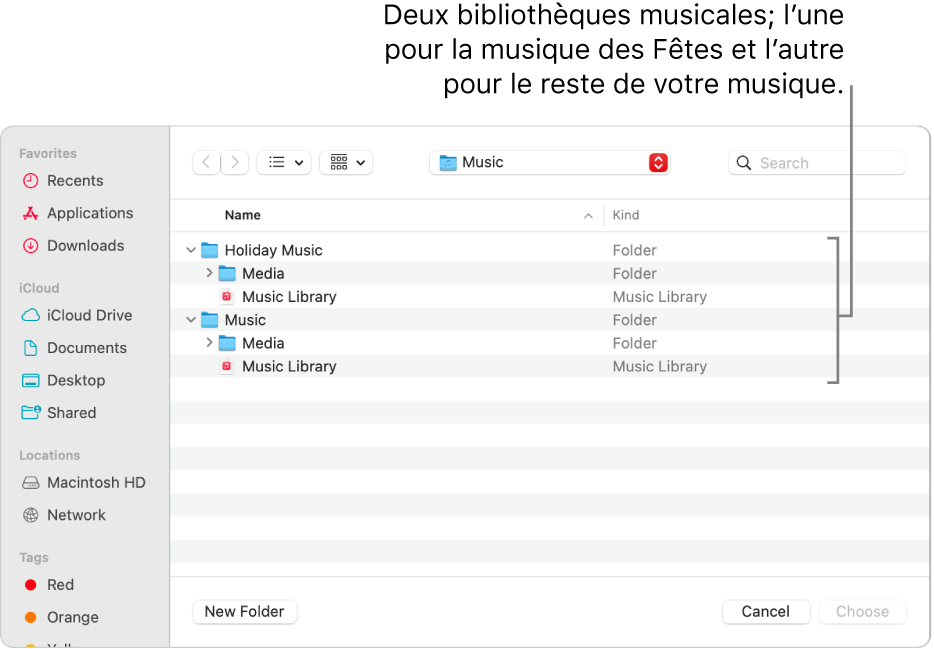 La fenêtre du Finder affichant plusieurs bibliothèques : une pour la musique des Fêtes et l’autre pour le reste de votre musique.