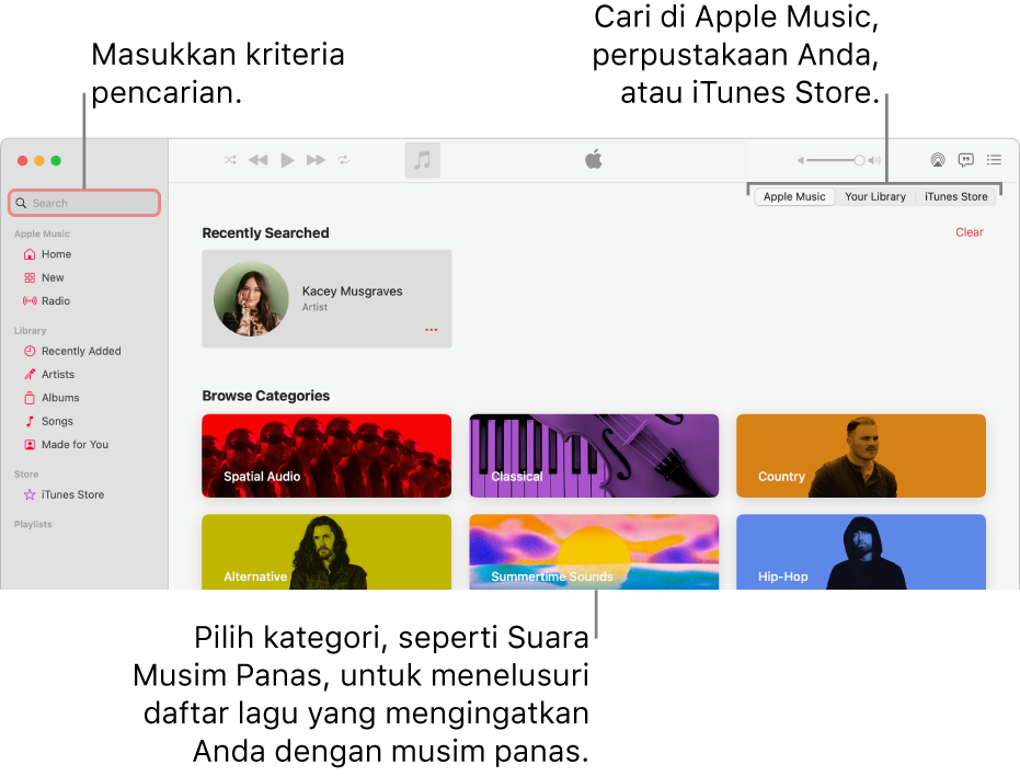 Jendela Apple Music menampilkan bidang pencarian di pojok kiri atas, daftar kategori di tengah jendela, dan Apple Music, Perpustakaan Anda, serta iTunes Store tersedia di pojok kanan atas. Masukkan kriteria pencarian di bidang pencarian, lalu pilih untuk mencari di Apple Music, hanya di perpustakaan Anda, atau di iTunes Store.