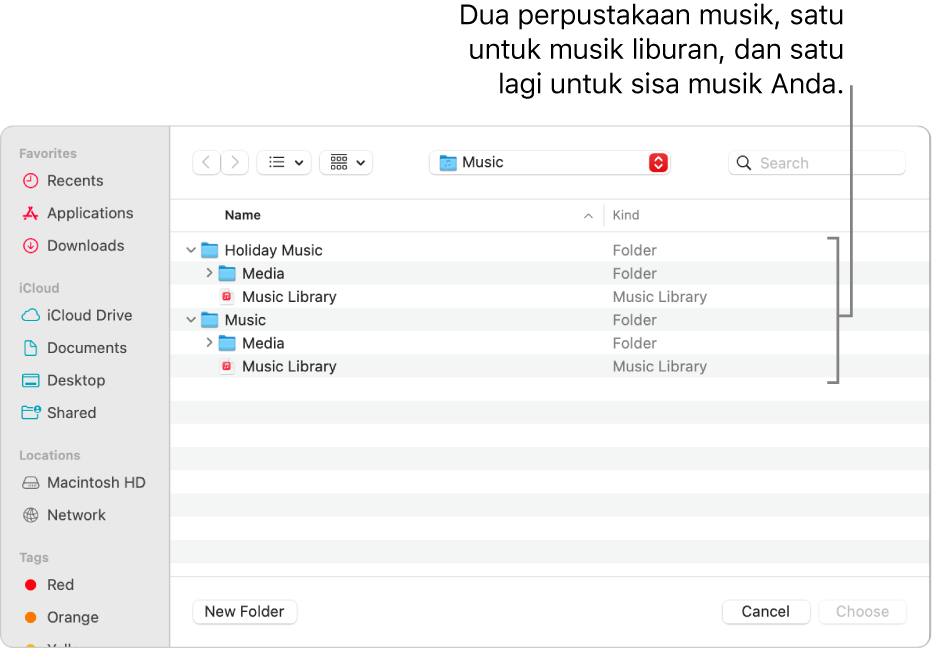 Jendela Finder menampilkan beberapa perpustakaan—satu untuk musik liburan, dan yang lain untuk sisa musik Anda.