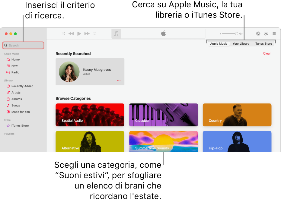 La finestra di Apple Music che mostra il campo di ricerca nell’angolo in alto a sinistra, l’elenco delle categorie al centro della finestra e Apple Music, “La tua libreria” o iTunes Store nell’angolo in alto a destra. Inserisci i criteri di ricerca nel campo, quindi scegli se cercare su tutto Apple Music, solo nella libreria o su iTunes Store.