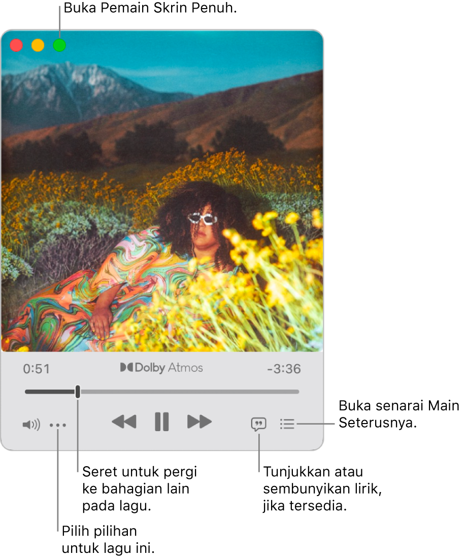 Pemain Mini dikembangkan menunjukkan kawalan untuk lagu yang sedang dimainkan. Di bahagian penjuru kiri atas ialah kawalan tetingkap yang digunakan untuk membuka dan menutup Pemain Skrin Penuh. Bahagian utama tetingkap menunjukkan karya seni album untuk lagu yang sedang dimainkan. Di bawah karya seni ialah gelangsar untuk beralih ke bahagian berbeza lagu dan butang untuk melaraskan kelantangan, menunjukkan lirik dan menunjukkan lagu yang dimainkan seterusnya.