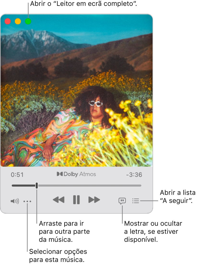 O mini-leitor expandido mostra os controlos relativos à música que está a ser reproduzida. No canto superior esquerdo encontram-se os controlos de janela, que servem para abrir e fechar o leitor em ecrã completo. A parte principal da janela mostra o grafismo do álbum para a música que está a ser reproduzida. Por baixo do grafismo encontra-se um nivelador para ir para outra parte da música e os botões para ajustar o volume, mostrar a letra e mostrar o que será reproduzido a seguir.