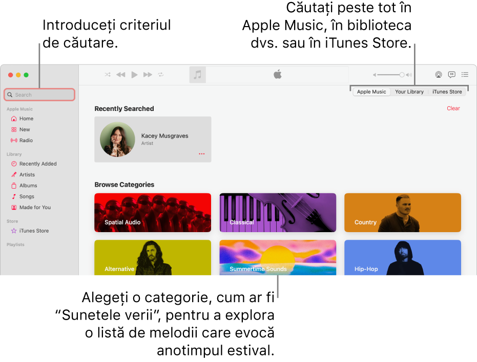 Fereastra Apple Music afișând câmpul de căutare în colțul din stânga sus, lista de categorii în centrul ferestrei și Apple Music, Biblioteca dvs. și iTunes Store disponibile în colțul din dreapta sus. Introduceți criteriul de căutare în câmpul de căutare, apoi alegeți să căutați în întreg serviciul Apple Music, doar în biblioteca dvs. sau în iTunes Store.