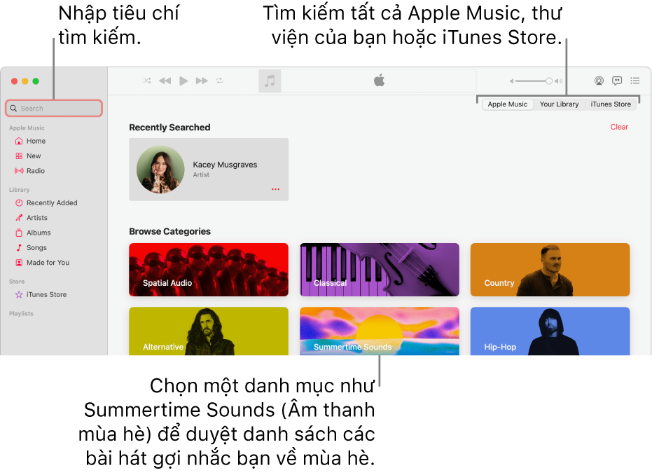 Cửa sổ Apple Music đang hiển thị trường tìm kiếm ở góc trên cùng bên trái, danh sách các danh mục ở giữa cửa sổ và Apple Music, Thư viện của bạn và iTunes Store có sẵn ở góc trên cùng bên phải. Nhập tiêu chí tìm kiếm vào trường tìm kiếm, sau đó chọn tìm kiếm tất cả Apple Music, chỉ thư viện của bạn hoặc iTunes Store.