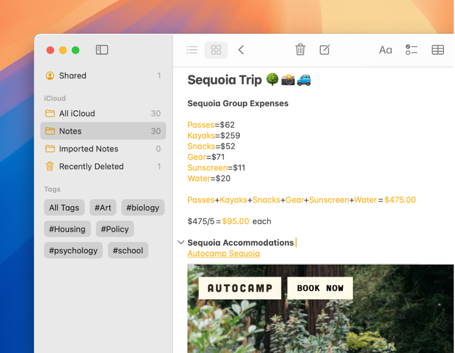 Ventana recortada de la app Notas del Mac con varios gastos, como pases, kayaks, crema solar y agua. La nota resuelve problemas de sumas y divisiones automáticamente de forma integrada.