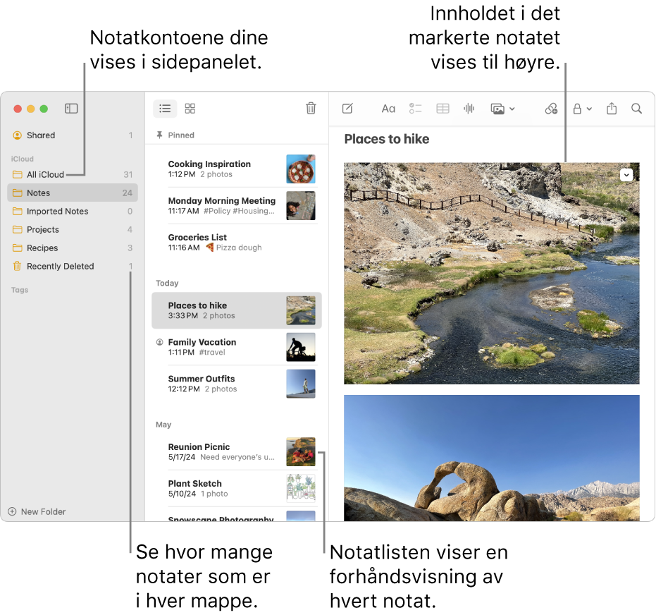 Et Notater-vindu på Mac med alle konfigurerte kontoer og mapper i sidepanelet til venstre, notatlisten i midten som viser en forhåndsvisning av hvert notat, og innholdet i det markerte notatet til høyre. Antallet notater vises ved siden av hver mappe.
