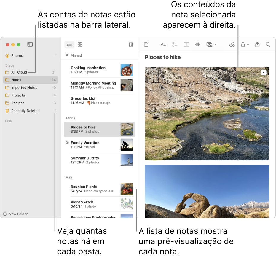 Uma janela do app Notas no Mac com todas as contas configuradas e pastas listadas na barra lateral à esquerda, a lista de notas no meio mostrando a pré-visualização de cada uma delas e o conteúdo da nota selecionada à direita. O número de notas aparece ao lado de cada pasta.