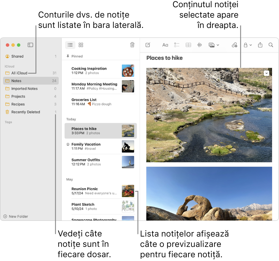 O fereastră a aplicației Notițe de pe Mac cu toate conturile și dosarele dvs. configurate listate în bara laterală din stânga, lista de notițe pe mijloc, afișând o previzualizare a fiecărei notițe, și conținutul notiței selectate afișat în partea dreaptă. Numărul de notițe apare lângă fiecare dosar.